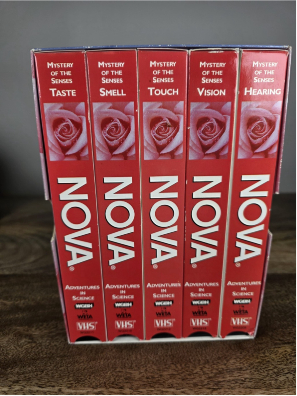 NOVA Mystery of the Senses VHS 5 Tape Box Set Diane Ackerman PBS WGBH 1995